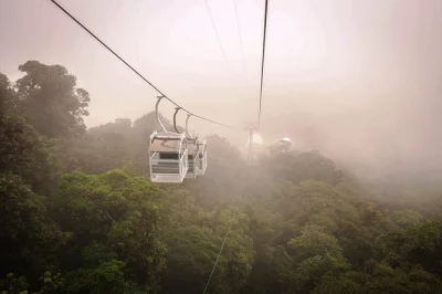 Feel the misty air of monteverde’s cloud forest, cross hanging bridges, ride the sky tram, and taste fresh tropical fruit—includes pickup from san jose hotels.