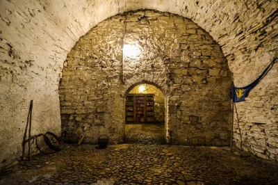 Step beneath prague’s old town to wander medieval underground tunnels, secret alchemy labs, and a real dungeon—guided by a local, entry fees included.