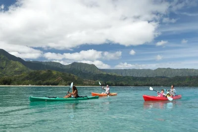 Start your morning paddling hanalei river, spot sea turtles in hanalei bay, and snorkel with local guides. includes deli lunch, snacks, and all gear.