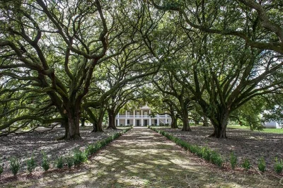 Step into history at whitney plantation near new orleans, with transport, self-guided audio tour, and time to explore restored cabins and memorials at your own pace.
