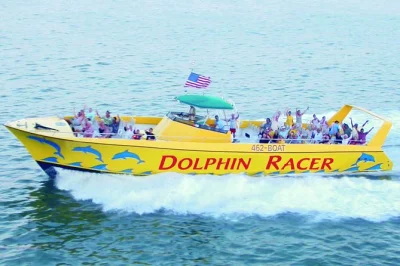 Feel the salt breeze on a st. pete beach dolphin cruise with live narration, playful dolphins surfing the wake, and easy boarding near the gulf—includes all ages.