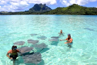 Float across bora bora’s lagoon on a private boat, snorkel coral gardens with a tahitian guide, and sip cold drinks onboard. includes snorkeling gear and flexible stops.