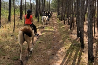 Hear hooves on sandy trails, spot wildlife, and share stories with local guides on a lake louisa horseback ride—includes helmet and up to six miles of scenic paths.