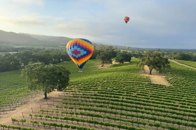 Float above sonoma and napa at sunrise, watch vineyards unfold from a hot air balloon, and toast with champagne after landing. includes snacks, early takeoff, local guide.