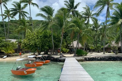 Feel the freedom of cruising bora bora’s lagoon by self-drive boat, with a map, cooler, and local tips. includes safety gear, sun cover, and flexible pickup.