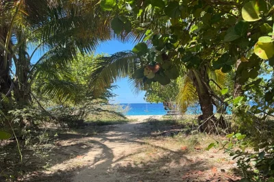 Feel the breeze in an open-air jeep as you explore st. thomas’ hidden beaches, scenic trails, and plantation ruins with a private guide—includes cruise port pickup.