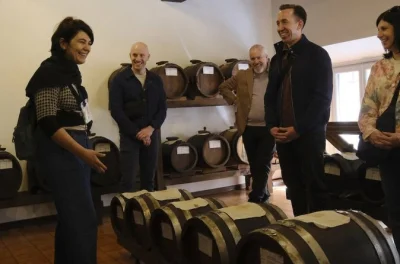 Step inside a modena acetaia closed to the public, taste 25-year aged balsamic, explore albinelli market, and sample parmigiano reggiano with a local guide.