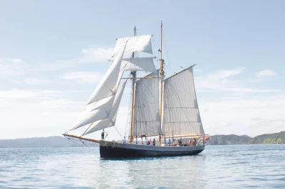 Sail the bay of islands on the r. tucker thompson tall ship, enjoy fresh scones, a bbq lunch, and stories from the crew. includes ferry tickets and wet weather gear.