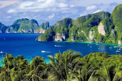 Swim at maya bay, snorkel coral reefs, spot monkeys, and enjoy a thai lunch on phi phi don. includes phuket hotel pickup, english-speaking guide, and all gear.