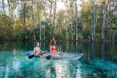 Feel the river’s quiet magic on a silver springs clear kayak tour—spot manatees, wild monkeys, and more with a local guide. includes all gear for comfort.