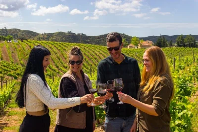 Meet winemakers, taste algarve wines at two boutique vineyards, and wander historic silves. includes pickup, snacks, and guided tastings in a small group.