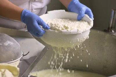 Follow a local guide through cyprus’ troodos villages, tasting halloumi, carob honey, and boutique wines. small group, meze lunch, and hotel pickup included.