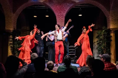 Feel the pulse of seville at a live flamenco show in an 18th-century patio, with dramatic lighting and passionate dancers. includes wheelchair access and stroller-friendly entry.