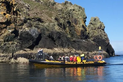 Feel the atlantic spray on a dingle sea safari rib boat tour, spot dolphins near the blasket islands, and hear local stories from your captain. includes warm gear.