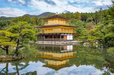 Feel the pulse of kyoto in one day—walk bamboo forests, cross gion’s alleys, and see kinkaku-ji. includes taxis, local guide, and all must-see spots.