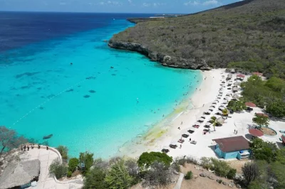 Wake up to wild flamingos, swim with turtles, and relax on kenepa beach—includes pickup, drinks, and a taste of blue curaçao or green rum. small group tour.