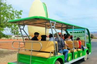 Curious about pistachios? ride through alamogordo’s pistachioland orchards, sample fresh nuts & local wine, and meet the folks behind the farm. guaranteed seat with booking.