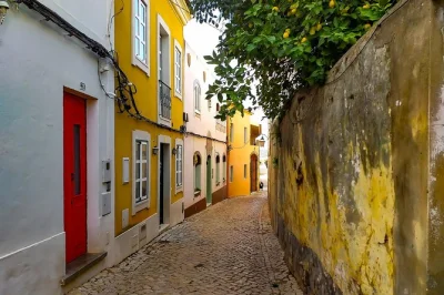 Step inside silves castle, wander monchique’s spa town, reach mount fóia for algarve views, and taste local wine—hotel pickup and guide included for a relaxed day.