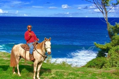 Feel the rhythm of maui on a guided horseback ride through west maui mountains to waterfalls and along the pacific coast, with animal encounters and drinks included.