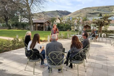 Step into the northern rhône valley for a guided wine tasting day trip, meet passionate winemakers, sample syrah and viognier, and relax with included transport.