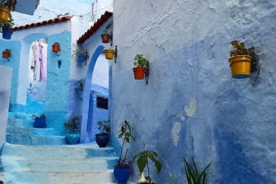 Excursión privada a chefchaouen desde fez con recogida en hotel, paseo guiado por la medina, degustación de queso local y tiempo libre para descubrir la ciudad azul. reserva ya.