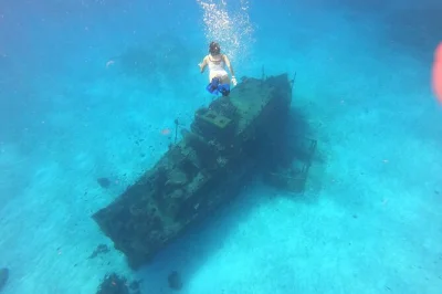 Snorkeling a cozumel tra relitti, barriera corallina e le acque cristalline di el cielo su una barca con fondo trasparente. attrezzatura, snack freschi, bevande e birra tedesca opzionale inclusi. pren