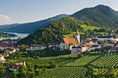 Full day private tour from vienna to wachau valley. visit melk abbey, cruise the danube, explore dürnstein & krems, and end at a local heuriger.