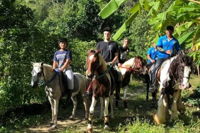 Disfruta un paseo a caballo en phuket para principiantes. recorre plantaciones de caucho y huertos, con vistas a la bahía de chalong. guía y equipo incluidos.