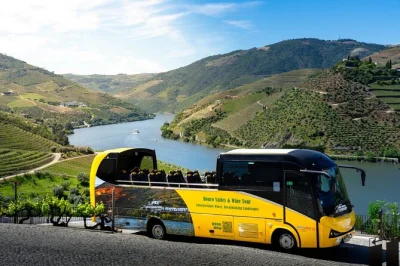 Follow vineyard roads from porto to douro valley, taste douro wines at historic estates, explore amarante’s old town, and enjoy a regional lunch—includes pickup.