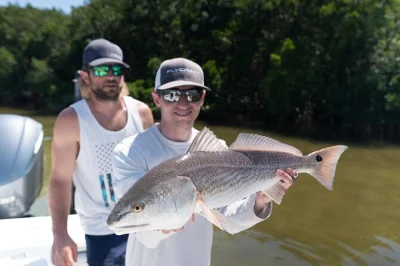 Découvrez la pêche à tampa bay lors d’une sortie de 4h avec un guide natif. observez les dauphins, attrapez de gros poissons et profitez des eaux limpides. matériel et permis inclus.