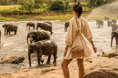 Tour privado de 8 dias no sri lanka com motorista que fala inglês. explore sigiriya, kandy, plantações de chá, safáris e o forte de galle com conforto. reserve já.