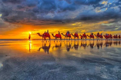 Feel the sand underfoot on a broome sunset camel ride along cable beach, guided by locals. includes local guide and camel ride. book your spot for sunset magic.
