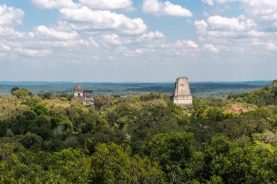 Explore tikal ruins on a private tour from flores or tikal hotels. includes guide, lunch, transport & flexible pace. book your tikal adventure now!