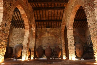 Scopri il vino talha dell’alentejo con un tour guidato in una cantina-museo restaurata. assaggia il vino autentico in anfore di terracotta e scopri i segreti antichi della vinificazione.