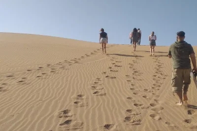 Découvrez les plages sauvages d’agadir, les pistes désertiques et les grottes de pêcheurs en 4x4. repas local, vues panoramiques et rencontres authentiques inclus.