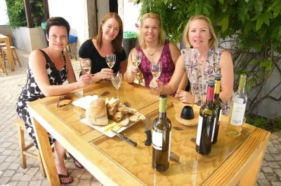 Scopri il centro storico di setúbal, il mercato do livramento, degustazioni di vino e una fabbrica di azulejos in un tour privato con guida. include formaggi, pane e curiosità locali.