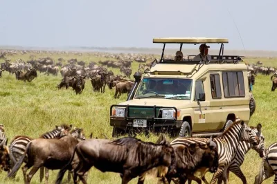 Vivez l’expérience authentique du camping dans les plus beaux parcs de tanzanie—tarangire, serengeti, ngorongoro—lors d’un safari économique de 6 jours avec guides, repas et tout l’équipe