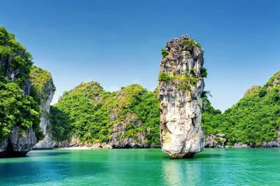 Experience halong bay in one day—cruise past limestone islands, explore heaven palace cave, kayak or bamboo boat, and enjoy a fresh seafood lunch.