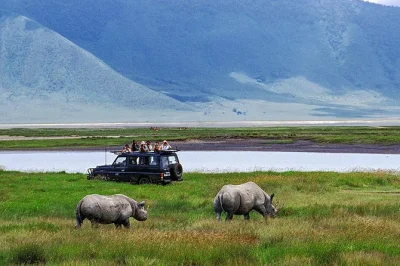 Explore o ngorongoro crater em um safari de 1 dia em grupo. veja os big 5, conheça famílias maasai e aproveite game drives com guias especialistas. traslado incluso.