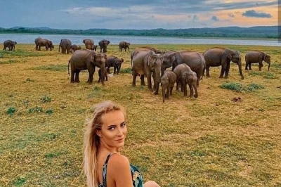 Experience sri lanka’s top sights in 5 days—kandy, sigiriya, ella train, yala safari & galle fort. private guide, all fees, hotels & airport transfers included.