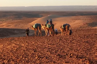 Experience a private 4-day desert trek from m'hamid to chegaga. walk with nomads, sleep under stars, and discover morocco’s wildest dunes. all included.
