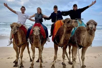 Ganztägige private tangier-tour mit lokalem guide. entdecke kap spartel, kamelreiten am achakar-strand, herkules-höhle, bunte medina-märkte & café hafa mit meerblick.