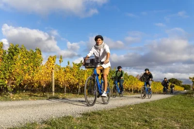 Explore marlborough’s wineries by bike—guided in the morning, free to roam in the afternoon. includes tastings, pickup, and e-bike upgrade option.