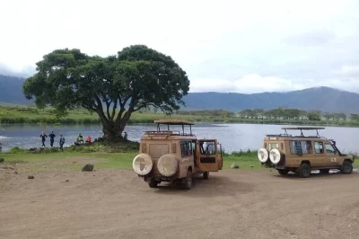 Explore um safari de 7 dias na tanzânia com safáris no serengeti, cratera de ngorongoro e lago manyara. hospedagem confortável, guias locais e transfers inclusos.