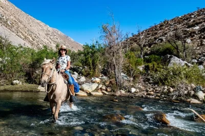 Partez à cheval dans la vallée de cochiguaz, explorez les contreforts des andes et vivez une vraie expérience chilienne avec des guides locaux.
