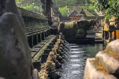 Private ubud-tour mit dem heiligen affenwald, den reisterrassen von tegalalang, dem tirta empul tempel und einer kaffeeverkostung. inklusive mittagessen und privatem guide.