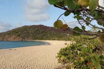 Explore st martin’s coast, hike to paradise peak, and swim at happy bay beach. small group tour with local guide, homemade treats, and easy trails.