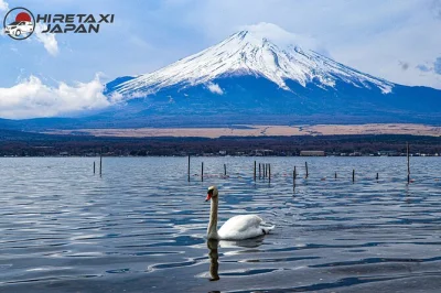 Descubre el monte fuji en un tour privado con conductor. visita el lago kawaguchi, el teleférico panorámico, oshino hakkai y el pueblo sanador. flexible, cómodo y con guía local.