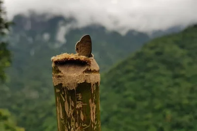 Let meghalaya surprise you with misty lakes, root bridges, and crystal-clear rivers. private tour from guwahati with all stays, local driver, and flexible pace included.