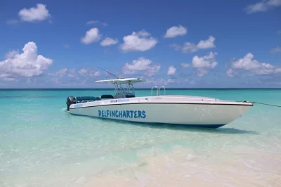 Reserva un tour privado en barco de 40 pies a rose island. haz snorkel en arrecifes, nada con tortugas, visita beach bars y relájate en playas escondidas. tours flexibles de 4 u 8 horas.